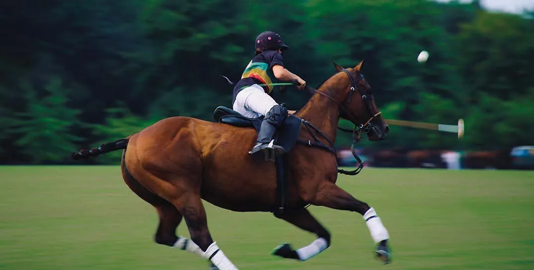 Los Establos — equestrian center